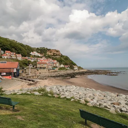 Primrose Saltburn-by-the-Sea