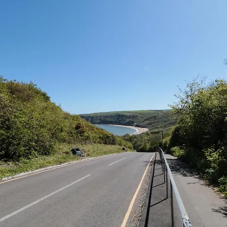 Primrose * Saltburn-by-the-Sea
