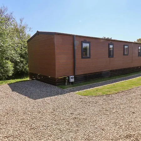 Primrose Saltburn-by-the-Sea